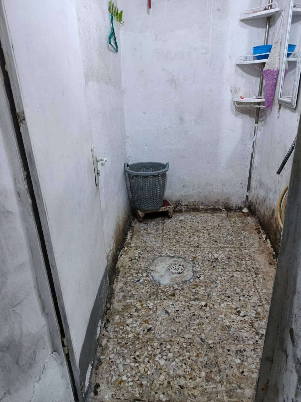 دار البيع او مراوس الحميديه شارع الطاقة ثالث فرع عل يمين فرع ابو سعيد المساحة 170 متر الواجهه 10 النزال 17 ابناء ابلوك  مكان حلو قريب عل شارع الطاقة بيت جاهز كهرباء وماء ومجاري وتبليط خير من الله  السعر 55  وبي  مجال  تفاصيل الاتصال *********** زراعي مكاتبه فقط
