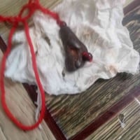 هبهاب زنجاري • قديم • بغداد شعب