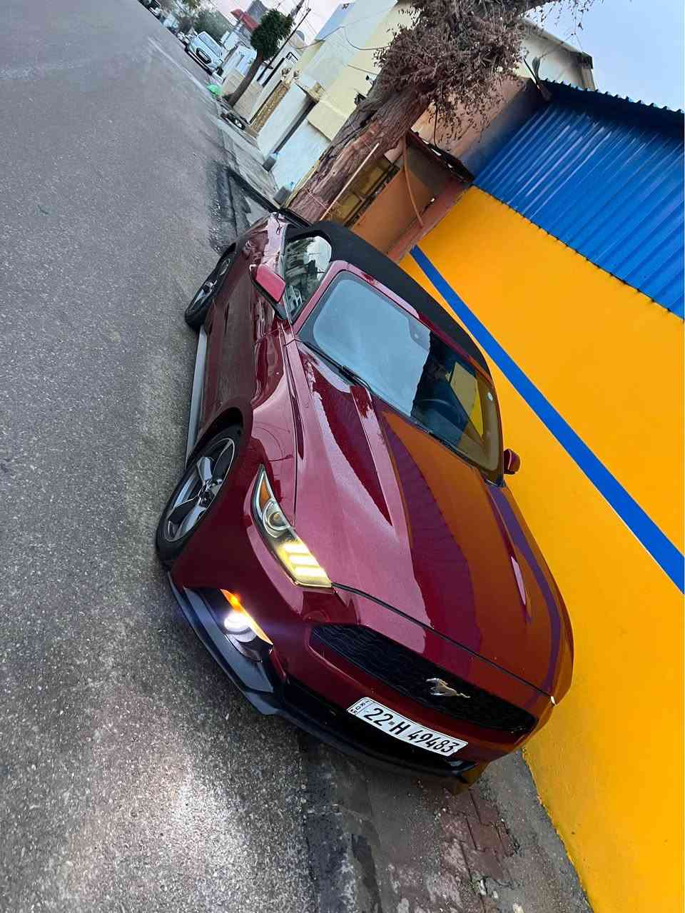 سلام عليكم 
موستانك ٢٠١٦ كشف
٦ سلندر. ٣.٧
مواصفات اعتيادي 
بصمه شاشه صغير كاميره
شفتات ستيرن
توماتيك
ابيع حيزام صبغ بدون داخل(راس شاصي واحد جوه دعاميه بيها شبر)
مكينه گير صدر كله شرط
سعر قفله ١١٨ ورقه و ماكو هيج سعر
اراوس حسب قناعه
كشف شغال و مابيها شي

سڵاو نرخی خوار بازاڕ
مۆستانگ ٦ بستۆن
تۆماتیک
گێڕسوکان
کامیرە وبەسمەوشاشە بچوک
بە حیزام ئەیفرۆشم
ناوگرتنی نیە(سەرە شاسی لای سەکن پەڵەیەک بۆیاخی هەیە لە ژێر دەعامیەکە
نرخی ١١٨ گەڵا قفل
ئەگۆڕمەوە بە شتێک بە دڵم بێت

***********
*********** السليمانية, العراق
