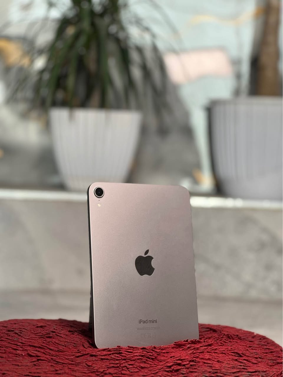 Ipad mini 7 
زاكيره ي ١٢٨ گيگايه 
پاتري ١٠٠
ريژه ي خاويني ١٠٠٪؜
ماوه ي كاركردن ١٠ روژ
تيبيني : ته نها شه حني خوي له گه له واته كارتوني له گه ل نييه 
سعري ٦٠٠ هه زار و مه جاليكي زور زور كه م أربيل, العراق


**إذا كنت صاحب هذا الإعلان وتريد حذفه لأي سبب، رجاءا أرسل رسالة إلى الدعم الفني**