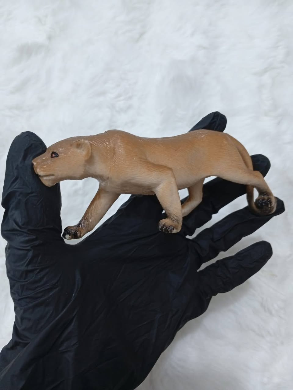 حيوانات باله اوربيه كبار ووسط 16 قطعه
10 الف


**إذا كنت صاحب هذا الإعلان وتريد حذفه لأي سبب، رجاءا أرسل رسالة إلى الدعم الفني**