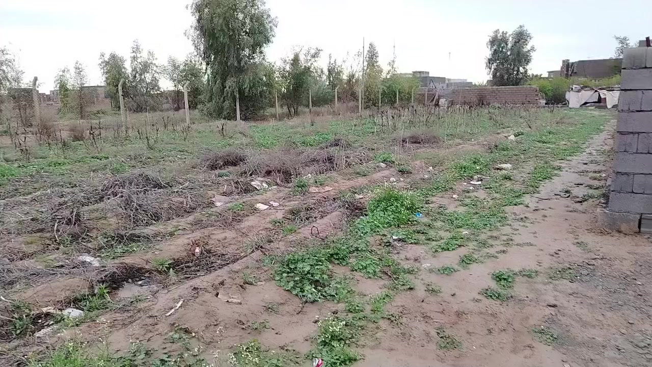 سلام عليكم كاع عقد زراعي موقعها كلش حلو قريب ع جسر بيها بناء وخدمات ١٠٠٠ م صادة ع بغداد مقابيل المجمعات.
سعرها مناسب للإستفسار الاتصال على الرقم *********** او ***********
