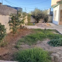 بيت زراعي • ٥٠٠م² • طريق السنية