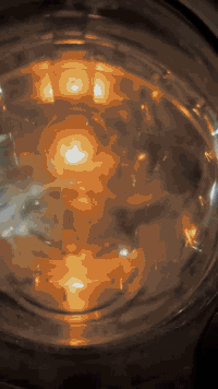 السلام عليكم سكنس جبلي للبيع كفاله كامه كله شغال اي نقص ما بيها شرط شلعه والمعدل بيها يدات رياضي وستيرن رياضي للاسفسار علا رقم فقط ***********
