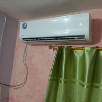 سبلت • مستعمل • أقل من شهر