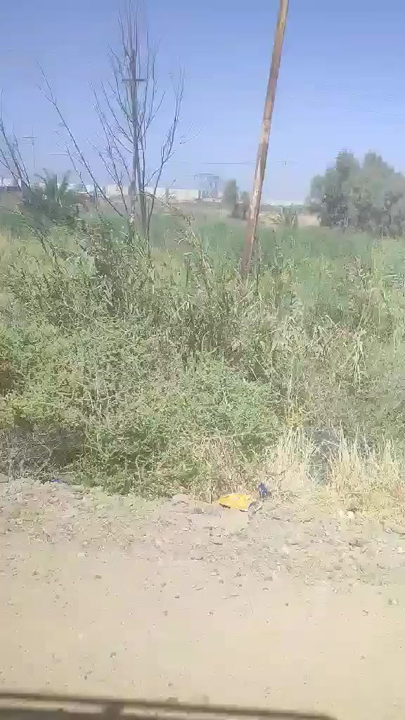 🌴 للبيع – 1000 متر 🌴
📍 الموقع: بغداد – المدائن – قرب مجمع بسماية 
🌊 تبعد عن شارع كوت بغداد 3 كيلو خلف محطه كهرباء بسمايه
📐 المساحة: 1000
🚪 واجهة 15 متر نزال 67متر
✅ خدمات كاملة (ماء – كهرباء – شارع سبيس _ماء بير أيضآ )
🌳 مشجّر ومناسب للسكن أو الاستثمار
السعر المطلوب بالقطعة 52 مليون وقابل للتفاوض 
📞 للاستفسار: ***********
