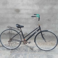 باسكل • الناصرية مركز • سعر خاص