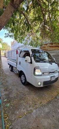 بنكو • ٢٠٢٣ • ماشية ٨٠