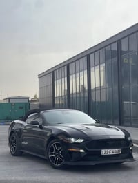 موستنك ٢٠٢٣ • ٢.٣L ايكو • ٢٤١٥٠ ميل