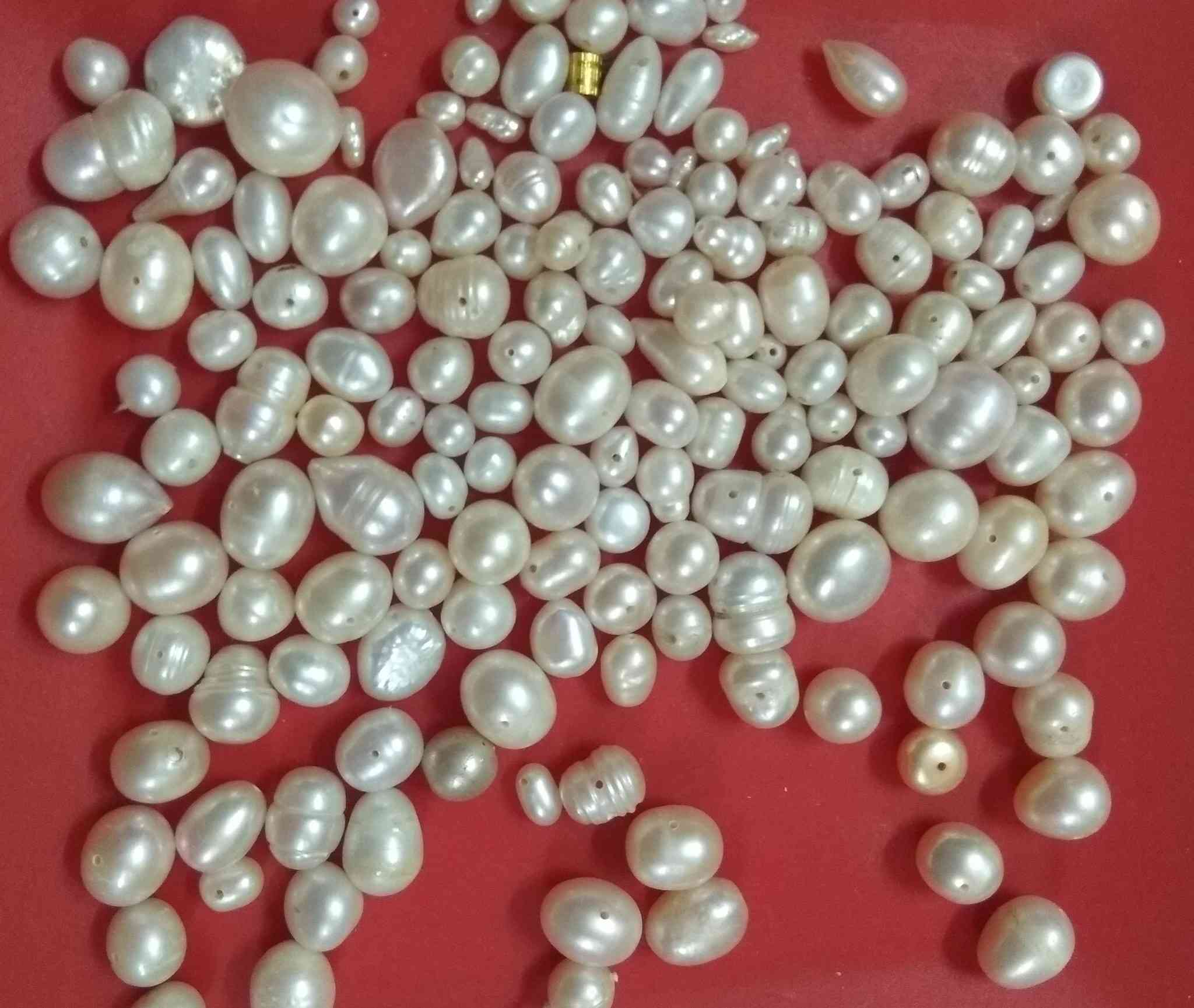 فرصه رائعه للساده التجار
                                       لاعلي سعر للجرام 
متوفر اتنين كيلو لؤلؤ طبيعي مزارع مقاسات وأحجام مختلفه ومنها أحجام كبيره ومنتظمه وكام عقد مجمع وألوان رائعه البيع لوط علي بعضه


**إذا كنت صاحب هذا الإعلان وتريد حذفه لأي سبب، رجاءا أرسل رسالة إلى الدعم الفني**