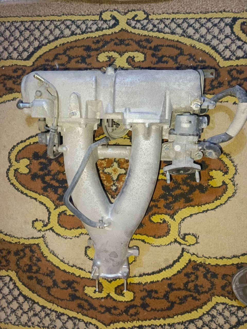 السلام عليكم تخم كاعيات ملكه دكشن ملكه كريستال جديد دبه مال ماسحات جديده
العنوان النجف***********
