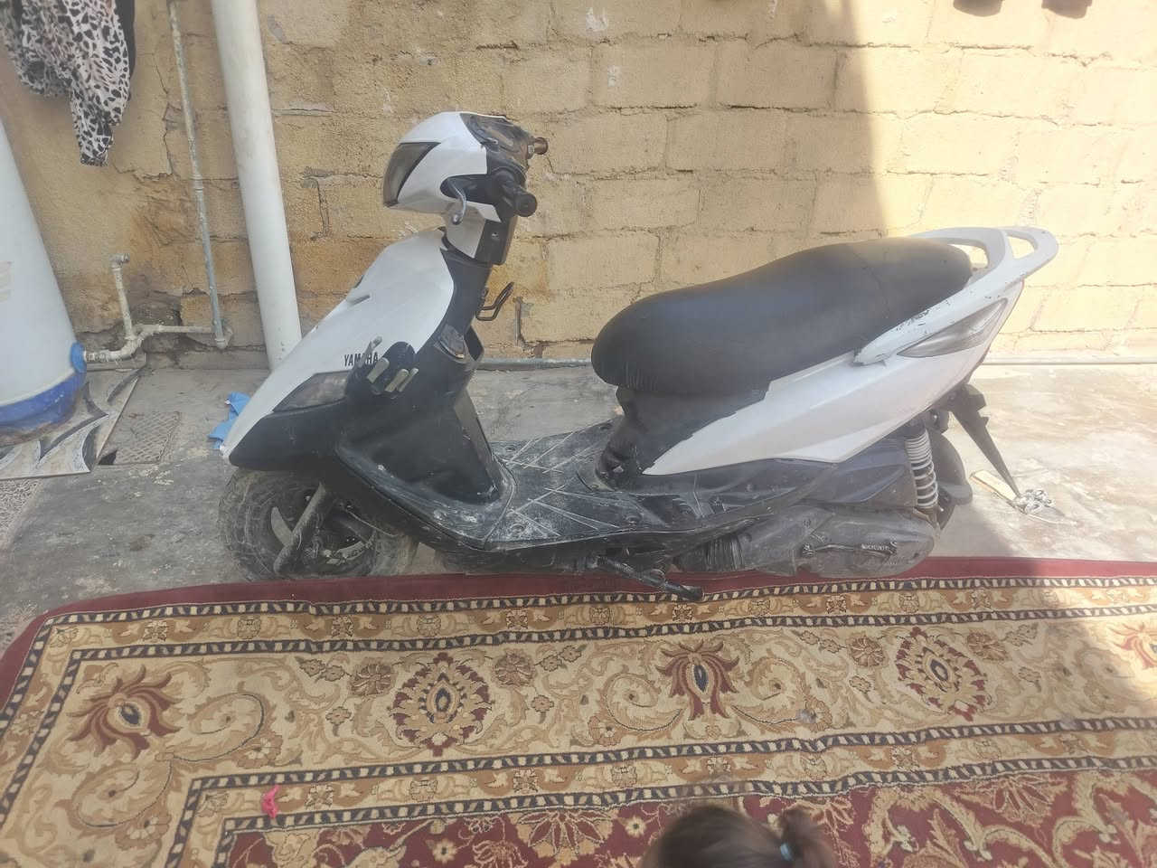 شوفت عينكم الدراجه بيها ولفات بس السعر 350


**إذا كنت صاحب هذا الإعلان وتريد حذفه لأي سبب، رجاءا أرسل رسالة إلى الدعم الفني**