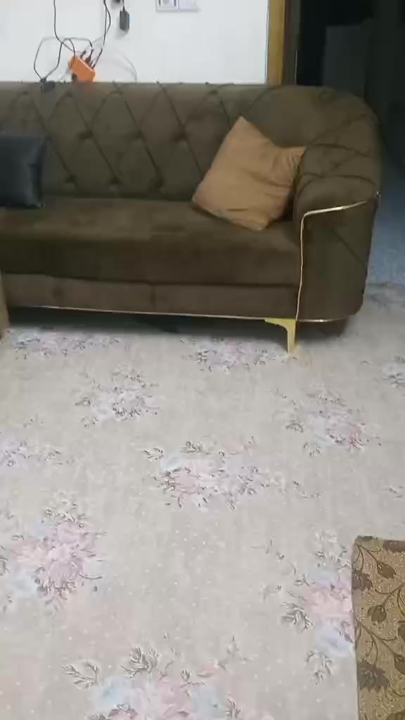 اغراض للبيع شرط نضافه


**إذا كنت صاحب هذا الإعلان وتريد حذفه لأي سبب، رجاءا أرسل رسالة إلى الدعم الفني**