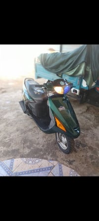 مسيب • دراجة زيتوني • كفالة عام