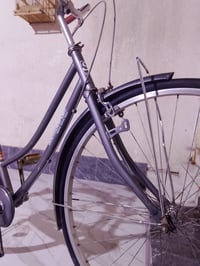 بسكليت ياباني • البصرة