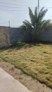 دار زراعي • قرار ٢٥ • خلف جامع الصديق