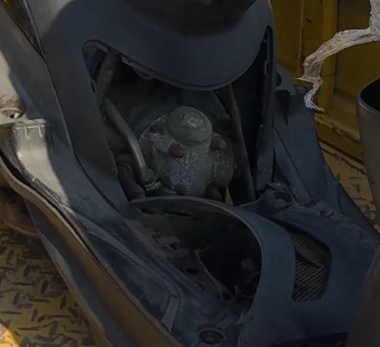 سلام عليكم  للبيع دراجه ماكس عدله مكفوله كفال عامه الدراجه رمبه بعدها بل جيس تجي تفحص وتروح عنواني بصره شط العرب السعر خاص وخابرني عل هاذا  الرقم  ***********
