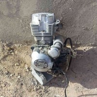 أم الطيرة أصلية • حجم 150 • كاور ولفات جديد