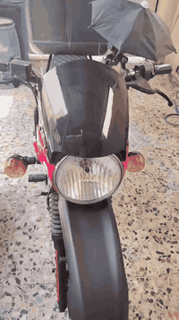 السلام عليكم بوكسر جبلي2023 أوراق ضايعة بس اكفلك كل شي السعر 1500 وبيهة مجال رقم الهاتف  *********** *********** بغداد
