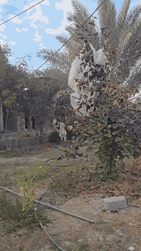 اللهم صلي على محمد وآل محمد.  (دونم و500م )طابو زراعي سند ٢٥ . (تحويل ...