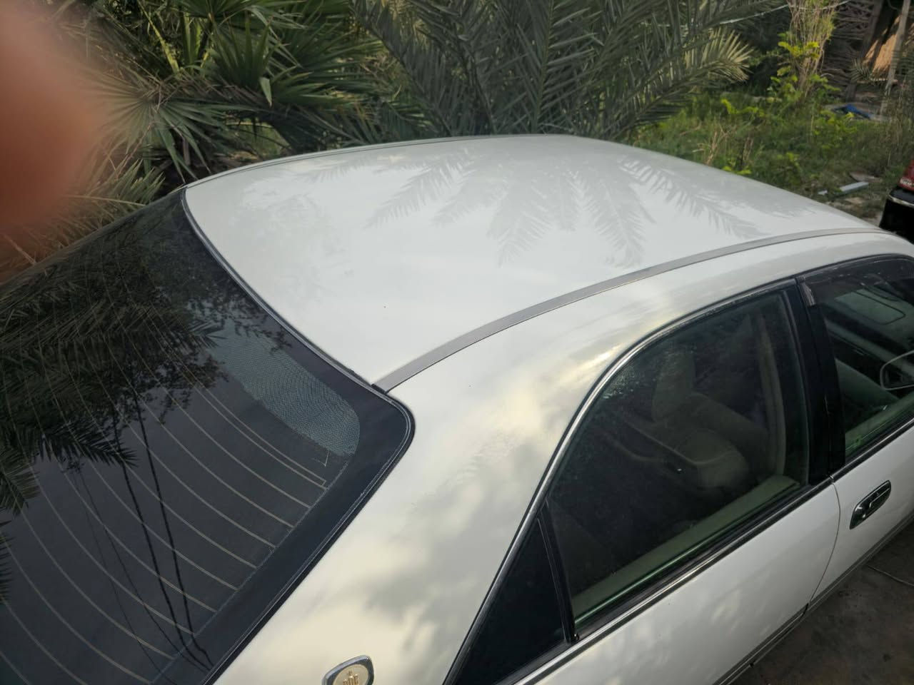 سلام عليكم جنون كصه قماره سياره جاهزه من كلشي مكان ناصريه 
***********
