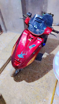 فراشه • فحل • كايمة