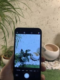 ايفون اكس • بطارية ١٠٠ • شاشة اصليه