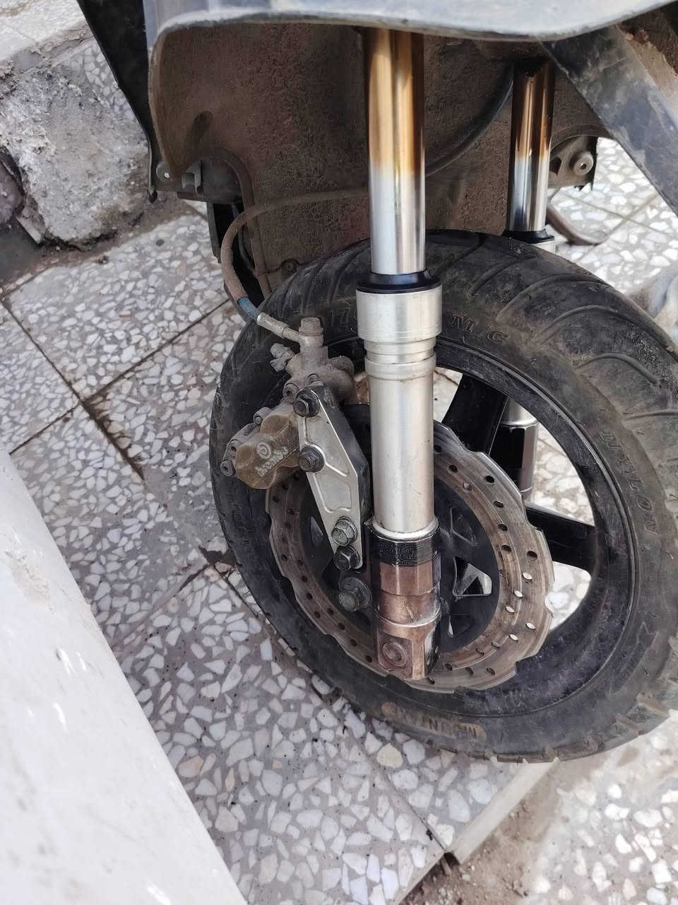 صدراماي وخلفي، بغداديديه ***********
