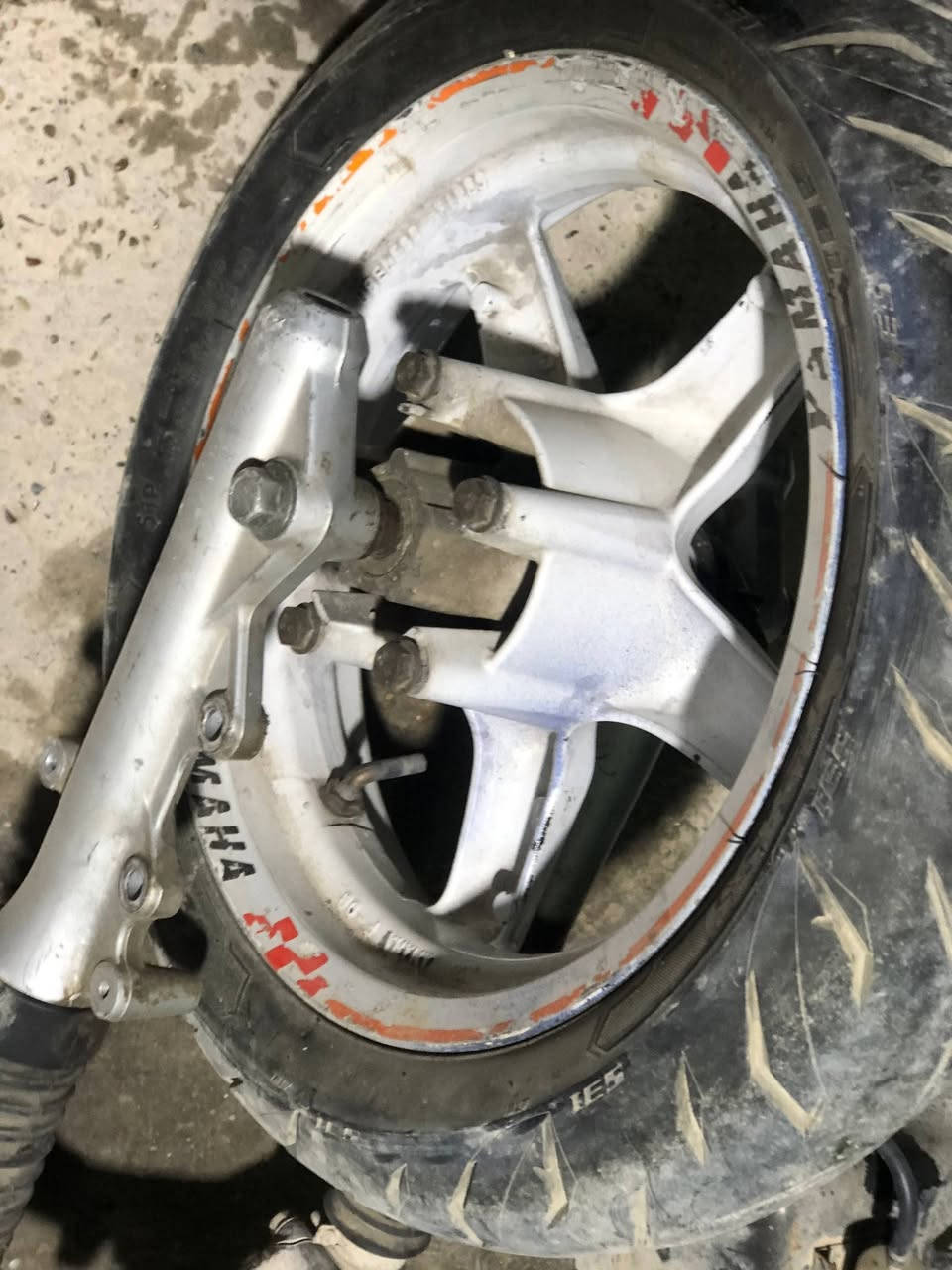 تفصيخ غراض سكنس نثية فحل
كلمن وسعره 

مكاني بغداد الشعلة 

***********
