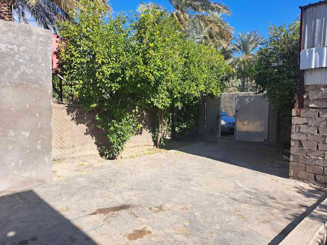 بيت للبيع او مراوس ويرهم اقساط حسب الاتفاق موقعه في عنانة بداية المنطقة ثالث بيت عن شارع  يتكون من غرفتين وصاله ومطبخ وهول ومجمع صحيات داخلي وخارجي مع حديقة مساحه ٣٥٠
