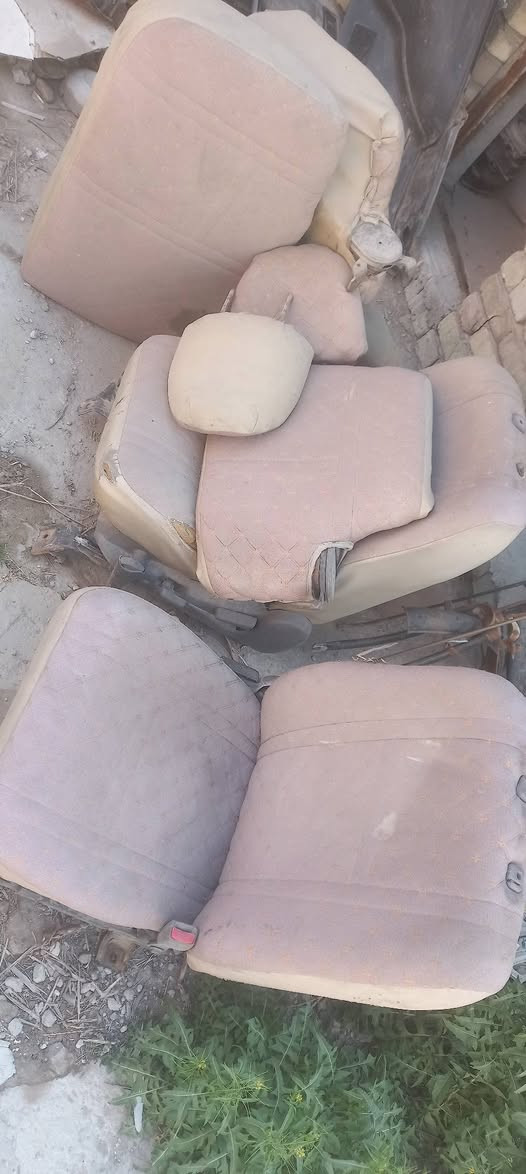 تخم كشنات ناتيفيا تفصيخ نضيفات للبيع ***********
