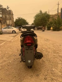 ماكس ثعلب • مكفوله • معدل