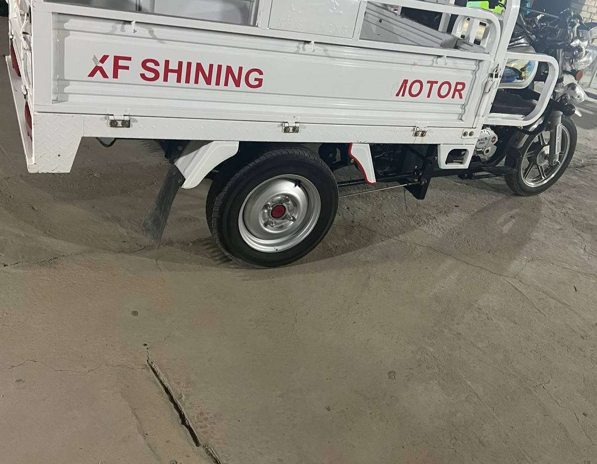 السلام عليكم ستوته فحل للبيع مديل 22 بيه مكينه 25 الستوته جاهزه وكامله للاخير كلشي شغال بيه الستوته مرقمه سنوية وياهه تفحص قبل لاتاخذ المكان كربلاء طوريج  السعر خاص رقمي ***********
