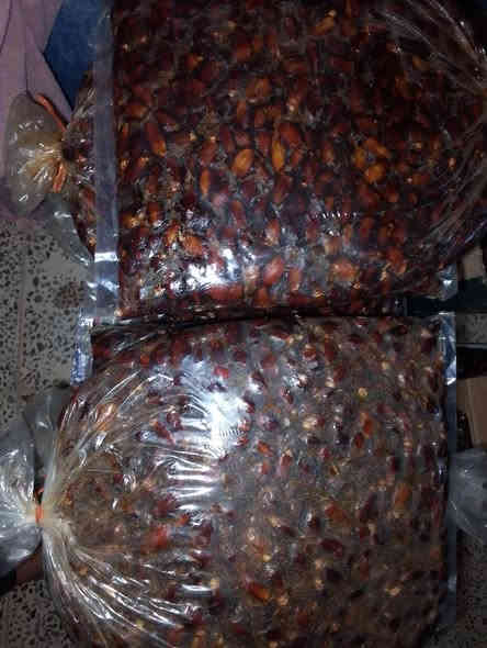 السلام عليكم تمر خستاوي مال السنه بخمسه الجيس ***********
