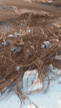 اشتري جميع الحديد والشيش المستخدم والجديد مكتبي التاجيات بغداد اتصال و...