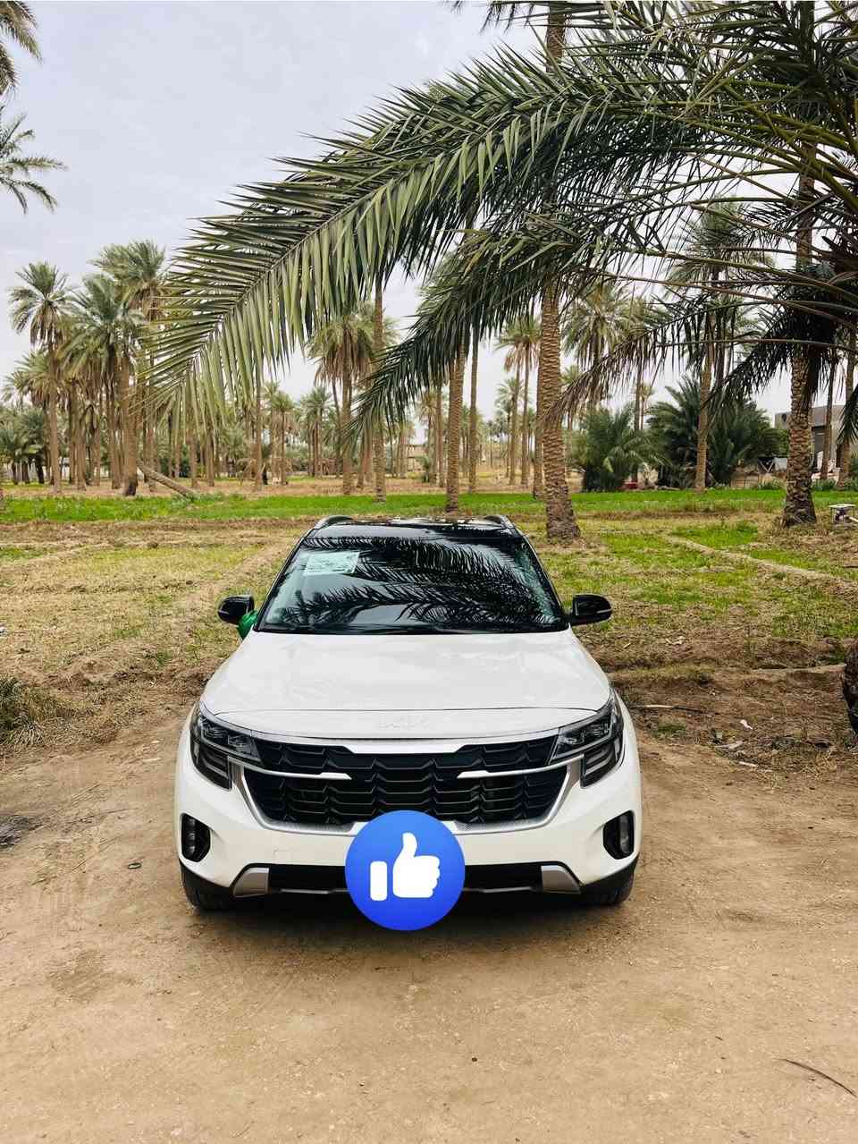 سيليتوز موديل24 ب اسمي  ماشيه 30 km
سيارة جديدة جداً بصمة فول مواصفات منعده البانوراما   حادثها قطعتين جاملخ وبنيد  
مراوس فقط بجيب


**إذا كنت صاحب هذا الإعلان وتريد حذفه لأي سبب، رجاءا أرسل رسالة إلى الدعم الفني**