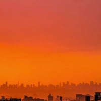 النجف الأشرف • حي الحسين • أرض ١٢٥م