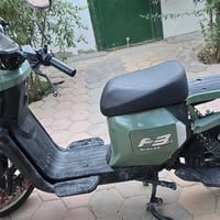 باسكل شحن • ١١٥ • كربلاء الحر