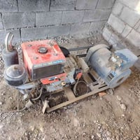 مولد فيتنامي 12/5  حصان للبيع مكفول كفاله عامه اخو الجديد للاستفسار أك...