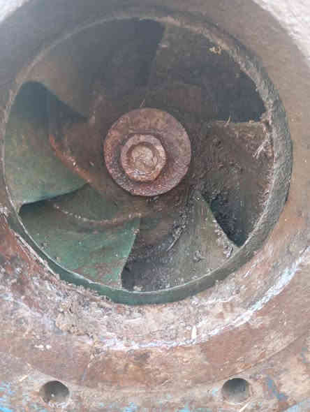 سلام عليكم ماطور عربي ستندر شرط شغل وخنازير عدد 2 جاهزات شرط شغل عنوان ذي قار دوايه  ستفسار على رقم ***********
