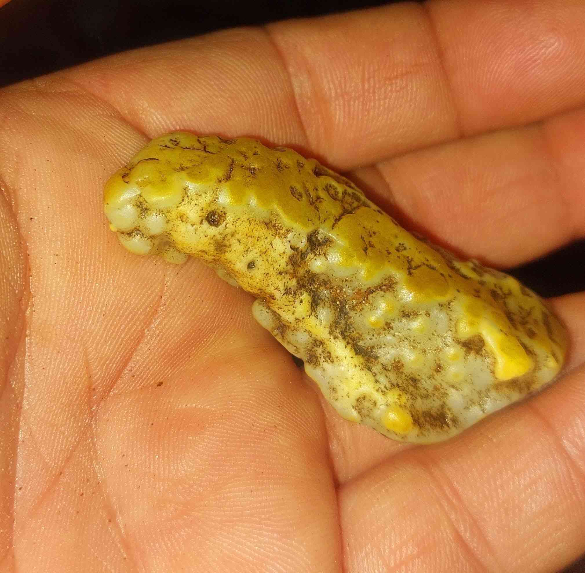 #يا #الله. نوادر النوادر  زوعه عربيد  على عرك سويحل مروكبه منكل مال شيوخ ودواوين ودخول على السلاطين وتغلب على الأعداء  مال مزامط  هاي  تسهيلات عامه 3عكد السان مهابه 
مصوره راس كوبره وعرك سويحلي هاي منكل نسائي رجالي فول الفول  مال كاع النباعي مال مزامط ومال شيوخ ودواوين 👉
*********** ☎️📞📞📞🌹🌹🌹🌹👉
#فوائد #الزوعه #عمهتن      من بعد عرك السواحل يجي فوائده          🥀🥀🥀🥀🥀🥀✌️     اذاينختم صح ويتقوه ويتنشط بالروحانيه الصحيح واني متمكن بيهن باذن الله🤟🤟🤟🤟🤟 
 1تجلب القلوب عالنضره لحامله 
2جاه وجه تسهيلات عامه     
3عكد السان مهابه                    ☎️ ***********🤳👉
4دوائر دوله لجم عام                 ملك الزوعات على مستوه 
5محبه وقبول عام                    ✌️العراق والوطن العربي👉 
6تعمل لجلب الزبائن  بصوره عامه باذن #الله🤟🤟🤟🤟🤟 
7تعمل  لحامله السعاده وراحت البال وتجلب حب الناس لحامله 
8تعمل  الموده والقبول مابين الخلق 
9 تعطي الهيبه والقبول  والمهبه امام الناس 
10 يتميز حامله بهدوء البال والتركيز والحفظ والفهم 
11تعمل كالمغناطيس في أمور الجلب والمحبه وسط الناس
12 يكون حاملها لايخشى سحرا ولا عين
👫👫👫👫👫🌹🌹🌹🌹👉
تنختم مابين الزوجين طاعه وقبول والموده  والمحبه ولجم  مابين الزوجين سلب اراده ضد الضالم تهيج مابين الزوجين 
حب وقبول مابين الحبيبين وطاعه و الموده وسمع  الكلام  
هاي كله الامور الروحانيه بعلم الاحجار متمكن بها 
 .  داخل الرقم وللاستفسار السماوه يوجد توصيل 
 
*********** منكل نسائي رجالي فوول الفول  

مختصون ومتمكنون بجميع الاحجار الربانيه والاحجار المروحنه والطاقه باذن الله🤟🤟🤟🤟🤟 
🤙#مختص بعلم الاحجار المروحنه وطاقه  100 بل 100 و✌️مختص
ومعالج جميع السحر والتوابع الخصه بامور الروحانيه بفظل الله والقران الكريم ومحمد وال محمد.  اخوكم ابو طيبه علاء
