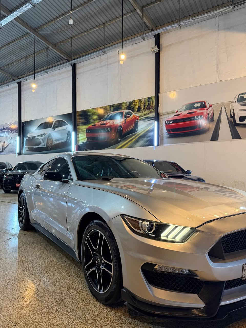 Mustang 2017 premium eco bust
فولل مواسفات
شاشە کبیر
کیج ١٠لون
كاميرة
كشن تدفئة تبريد
حساس خلفي
بصمة
تشغيل عن بعد
لايتات ليد
تحكمات سيترن
كير شفت
كشنات جلد
٣قطعة صبغ بدون دواخل
ارباك فقط ستيرن
كل شيء جديد رقم فحص هزة سيارة بسمي تحويل نفس يوم مكان اربيل
***********
*********** عندي واتساپ أربيل, العراق
