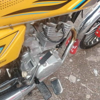 07717392048 800 2024