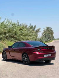 جارجر SXT • ٢٠١٩ • رقم بغداد