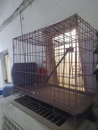 قفص متوسط • ٦٥×٥٥ • بغداد