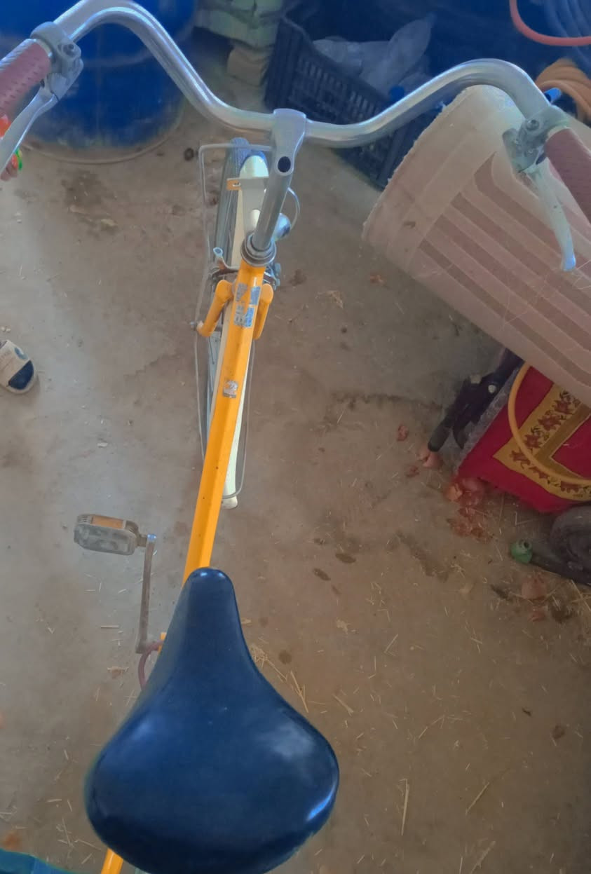 السلام عليكم متوفر بايسكل للبيع نضيف حجم ٢٧ مكاني دوره الامام الي يريده يدخل خاص ونشالله نتساهل بالسعر


**إذا كنت صاحب هذا الإعلان وتريد حذفه لأي سبب، رجاءا أرسل رسالة إلى الدعم الفني**