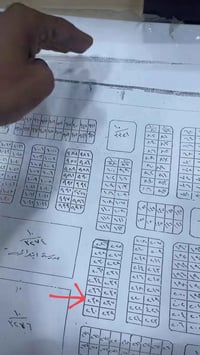 التنومة بيبان 28 • قطعة ٢٣٨ • ٢٥٠م