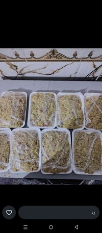 متوفر كباب عروك كيلوات  للحجز راسلونا خاص او واتساب على الرقم 07822273...