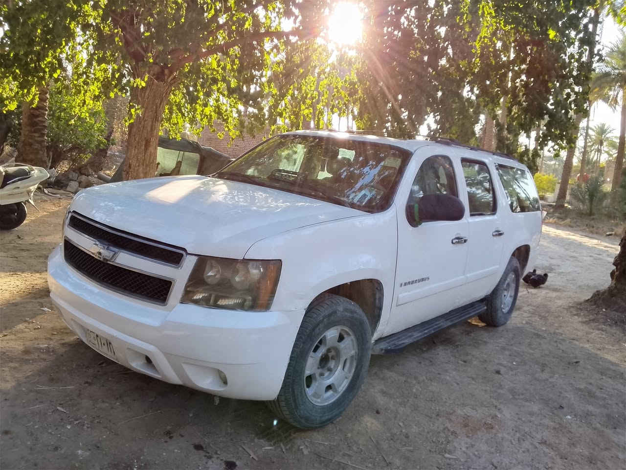 السلام عليكم اخوان تاهو موديل 11 حديده السياره جاهزء وبلاديه وكلش حلوه ومرتب مكفوله من الكص مكاني نجف كوفى السعر65وبيه مجال حك الجيه ولا اكو مراوس وفرق بعد احسن تعال خاص ودلل


**إذا كنت صاحب هذا الإعلان وتريد حذفه لأي سبب، رجاءا أرسل رسالة إلى الدعم الفني**