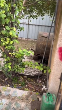 إيجار • حي الشيماء • غرفتين